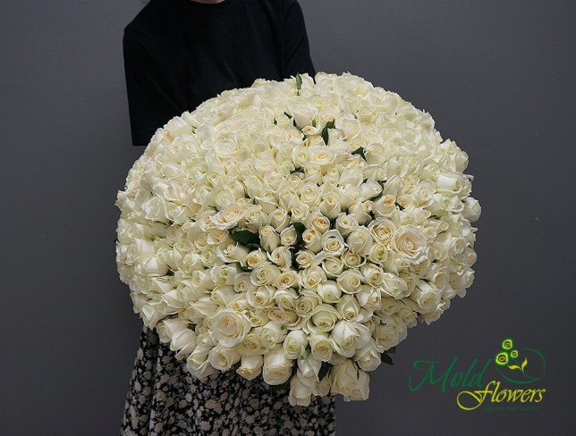 303 Белые голландские розы 50-60 см( Под заказ 5 дней) Фото